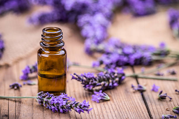 Prominent health benefits of Lavender oil