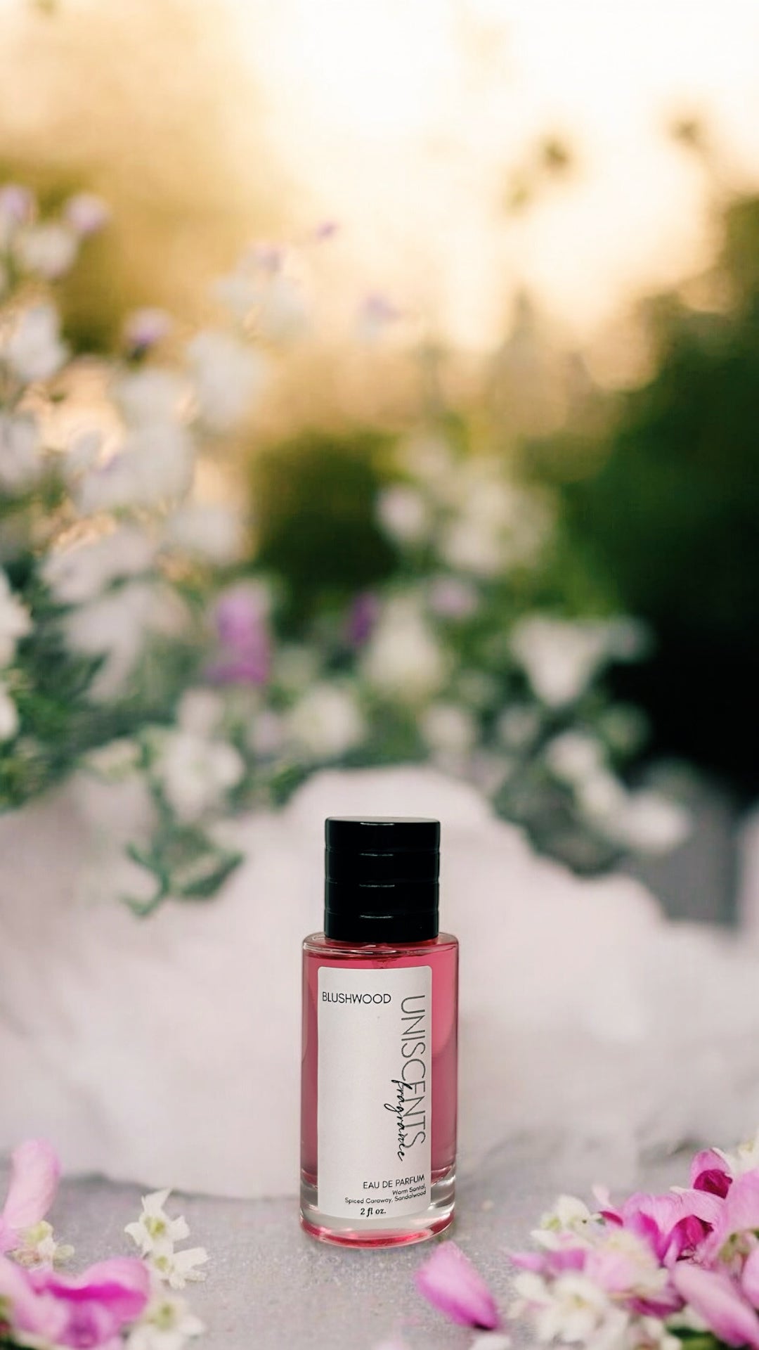 Blushwood Santal Perfume -|  Limited Release