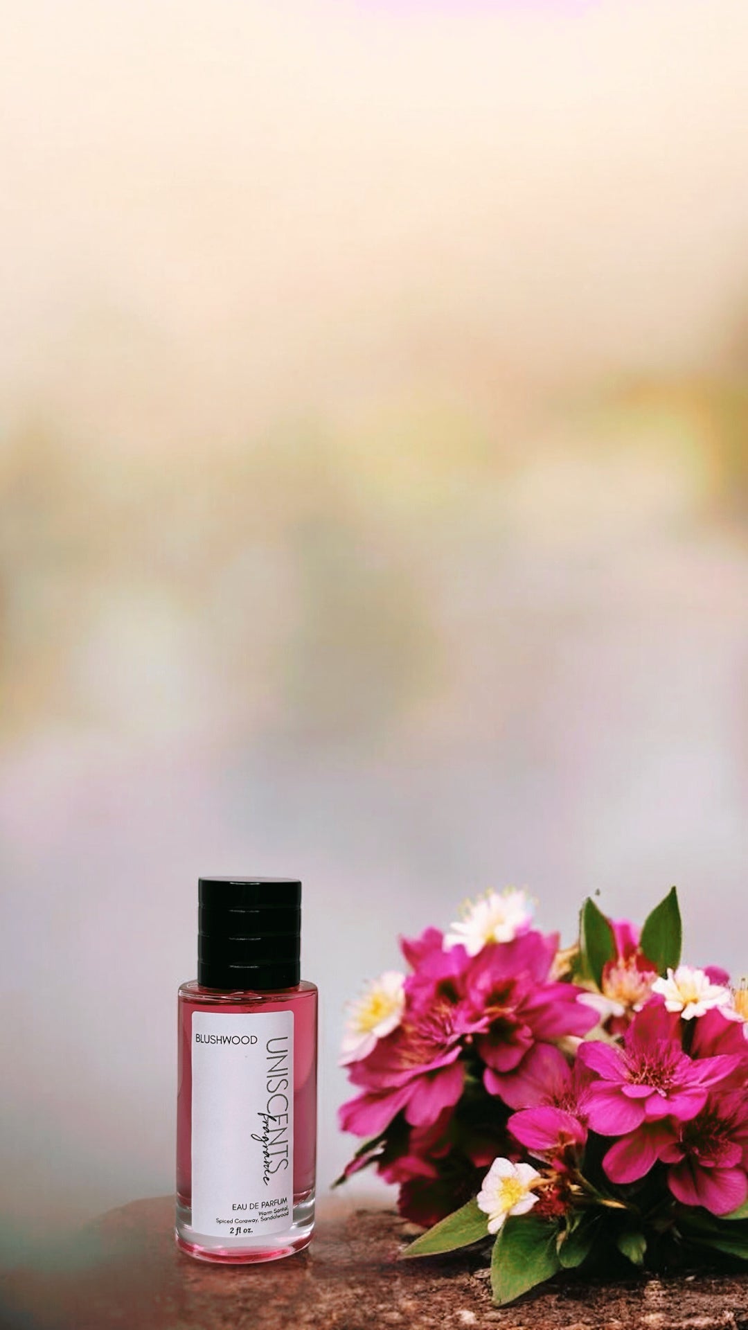 Blushwood Santal Perfume -|  Limited Release