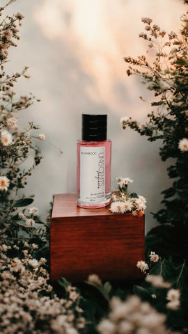 Blushwood Santal Perfume -|  Limited Release