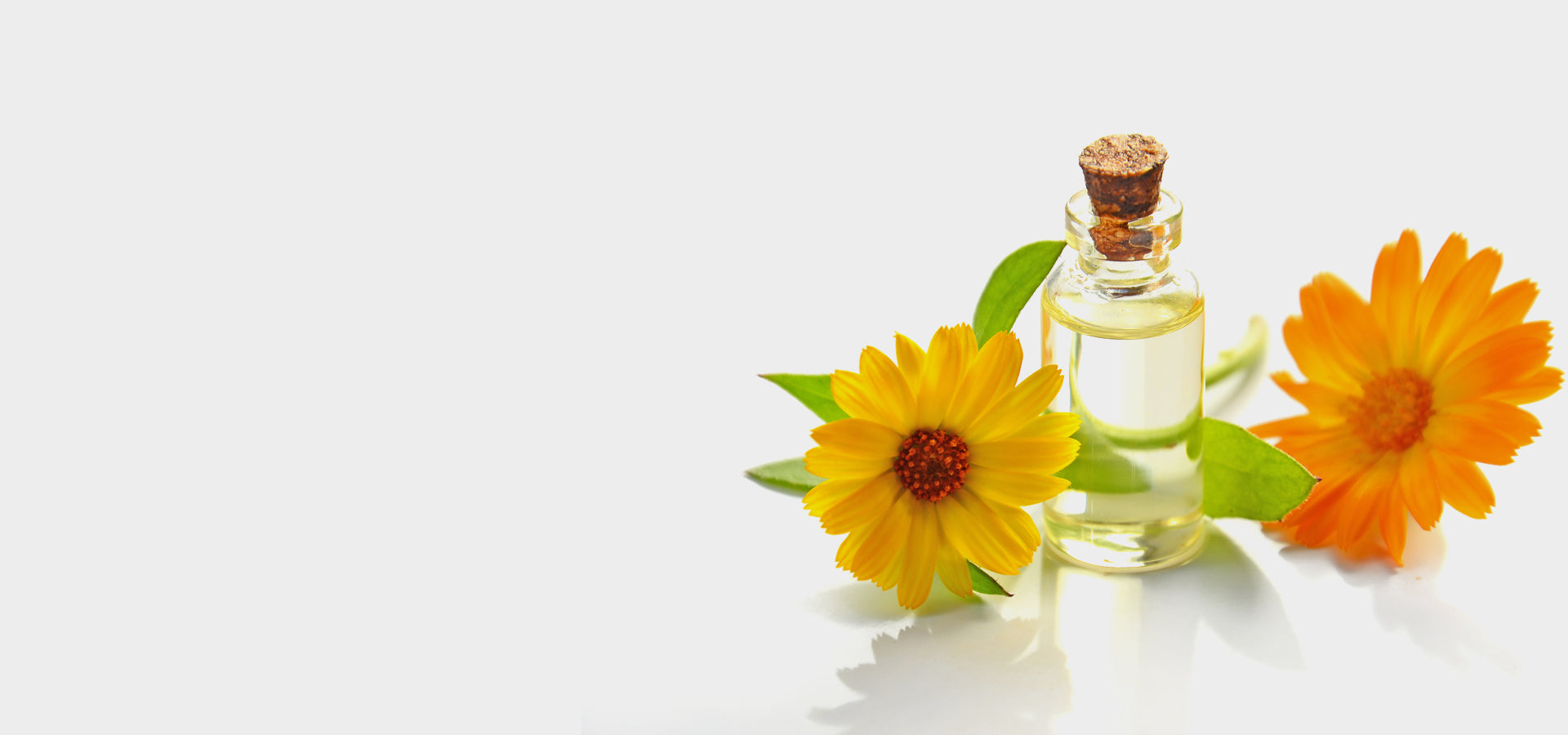Healing scents oil